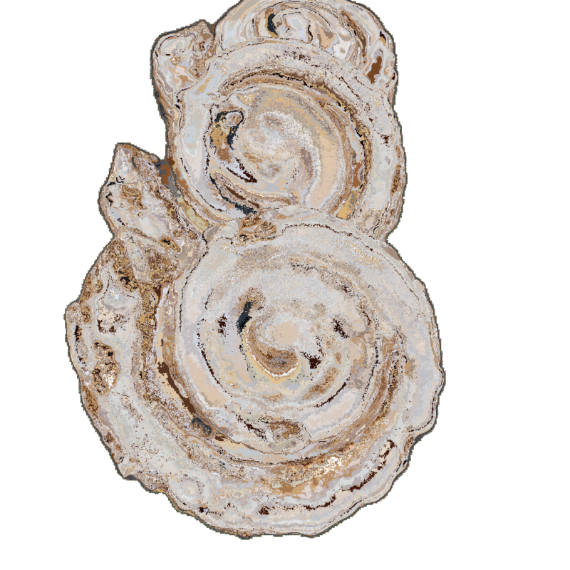 CINNAMON ROLL - Imagen 3