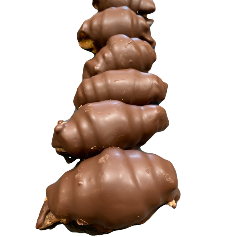 CROISSANT MINI CHOCOLATE 100G