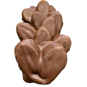 PALMERITAS CHOCOLATE 100G